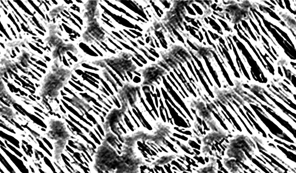 detalle de la membrana filtrante con polímero de Politetrafluoroetileno dorsan